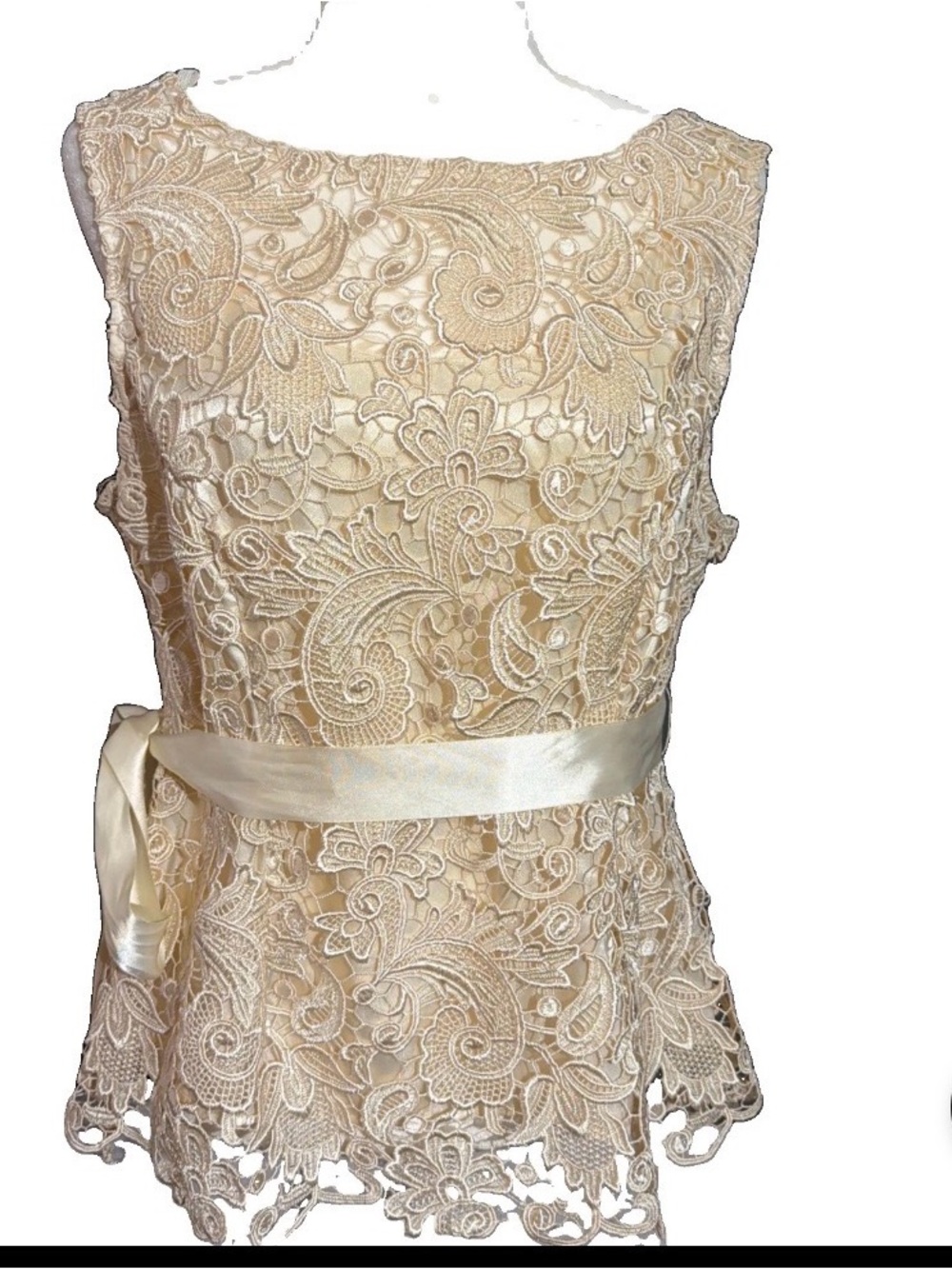 Helene  Blake vintage heavy embroidered lace overlay and satin shabby chic